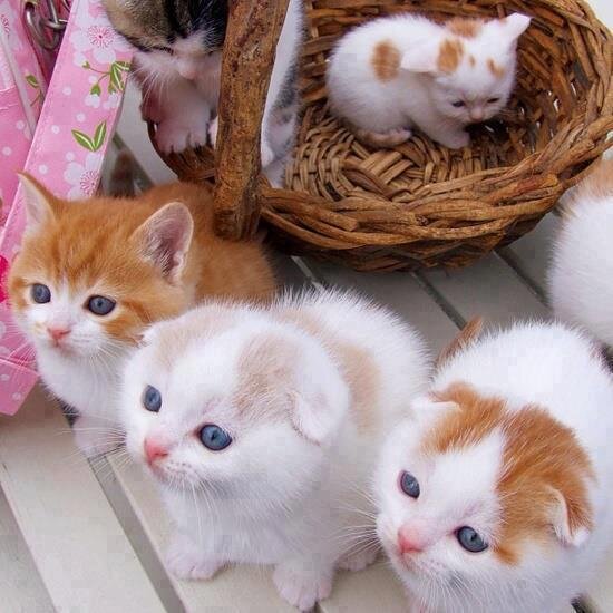 ‏‏‏ﻣهما كنت رائعا وكريماً وجميلا ﺳتجد ﻣن لا ﯾﺣﺑك ﻟ ٱﺳباب لا تعرﻓﮪا ﻓلا تنزعج كثيرا *!