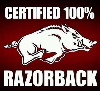 Arkansas Razorbacks.