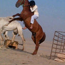 حمود (@22Mabmab) Twitter