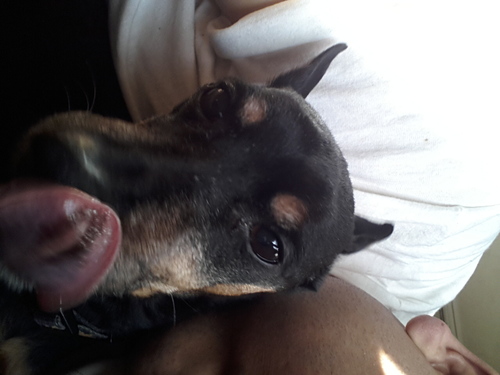 sunnyyoung1999's profile picture. 