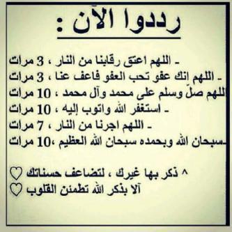 Instagram » Alayeh_