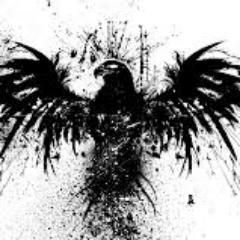 alejandro00794's profile picture. 