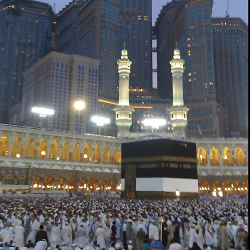 sami_elrabei's profile picture. 