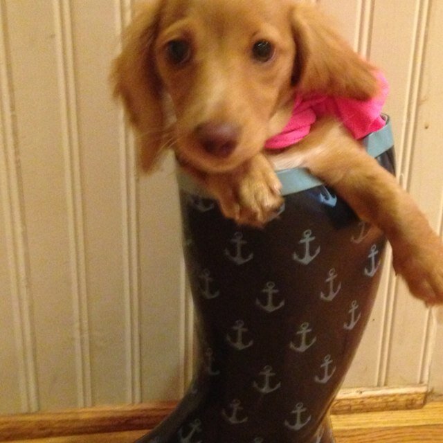 bethgullatt's profile picture. 