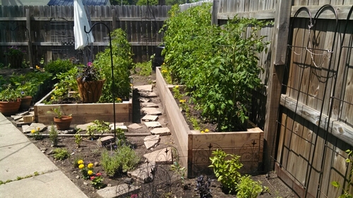 RE developer / RE PM. Gardener, bicyclist, and boy mom. Opinions are my own.