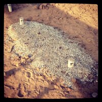 الأميرة نوف آل علي (@prnoufaalali) Twitter profile photo