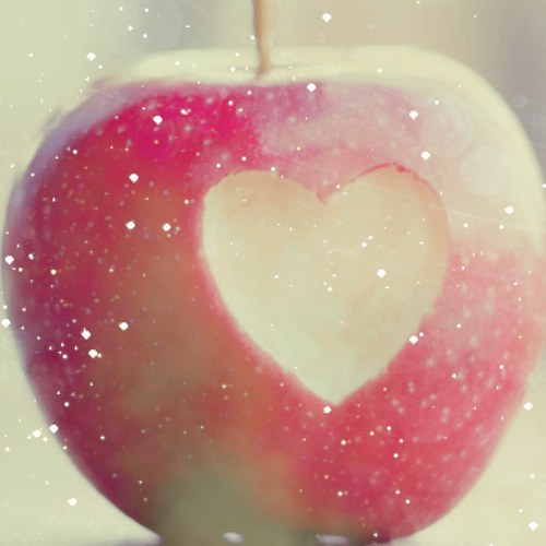 noon_959595's profile picture. 