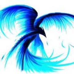 Blue Phoenix Sports is a professional handicapping service created to help the casual sports bettor beat the books. Offering winning MLB and NFL selections.