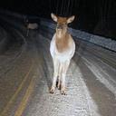 Bob McCrae - @thepartyparty2 - Twitter