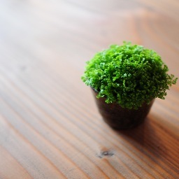 山梨県富士川町青柳町にある「箱」です。この町が、人々や情報や文化の躍動する幸福な町であるよう、また同時にいつも平穏な静寂のある幸福な町であるよう願いを込めた、小さな箱です。