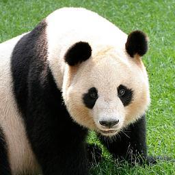 kubotayouhei's profile picture. 稼ぎまくるぞー