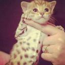 Tota $ (@00000000_am) Twitter