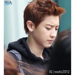 new owner. Park Chanyeol's roleplayer ─ 92lines ─ fantalk allowed