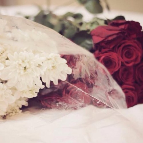 حُبي لعائلتي ليس كمثله حب❤