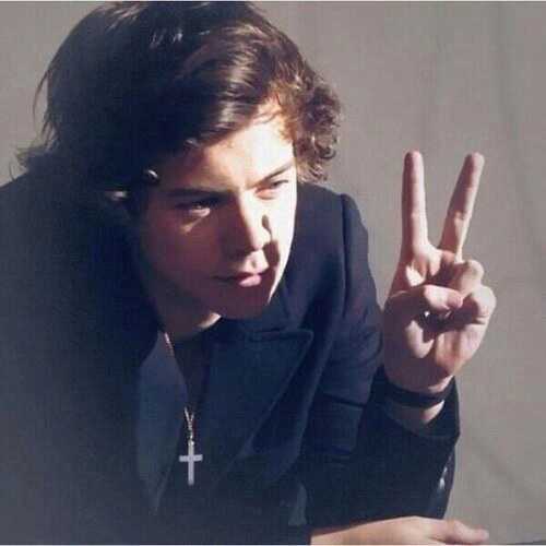 I met the boys twice, liam called me love and harry called me babe! 2/5!! Then my mom woke me up........