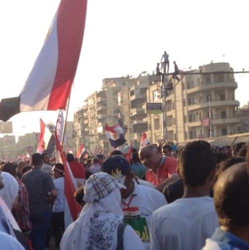 rafsws's profile picture. 