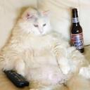 Jonathan Nottingham - @Redsuiting - Twitter