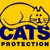 Stoke Cats (@stokecats) 's Twitter Profile