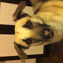 serkok74's profile picture. 