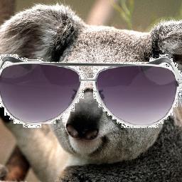 HannahGequalsme's profile picture. i am a pizza person i like to eat pie and tweet funny stuffz