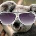 bubbly meerkat (@hannahgequalsme) Twitter profile photo