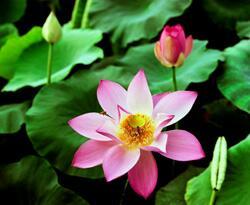 Humming27070555's profile picture. 