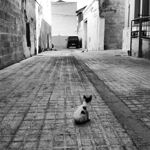 salva_tore128's profile picture. 