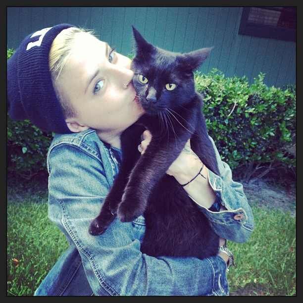 Singer of Automatic Loveletter. Single. Bisexual. Virgin. I love my kitties Femme Baby and Crow Bear!