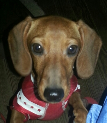 maxfactor59's profile picture. I was born, I'm here now, and eventually I'll be dead. You're up to speed.