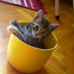 Getting to know the world.