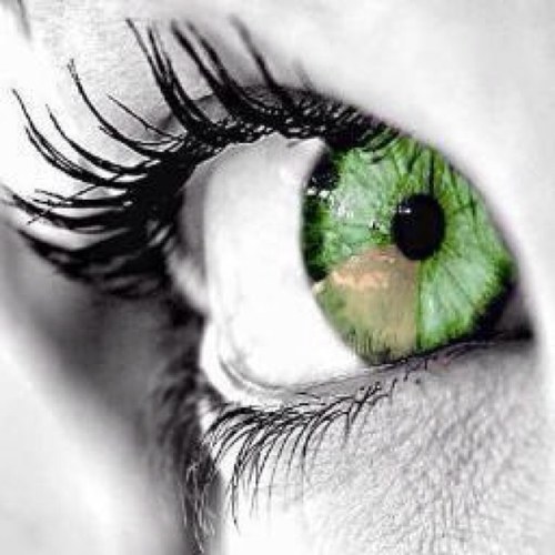 ✯ｖｉⓟ§ • ∈×ⓒŁů§ｉｖ∈ ✯ ™ ® #тєαмƒσℓℓσωвαcк 100% @Thony_Soprano @Consigliere_TM @Consigliere__TM @Consigliere_MX @Thony__Soprano @VictoriaBruzzon @VictoriaBruzoni