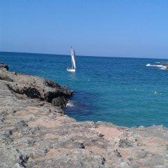 manuelamarini2's profile picture. docente di lettere,canoista e velista,madre