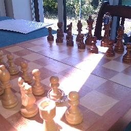 Aidan_Reilly's profile picture. I genuinely have no idea what I am