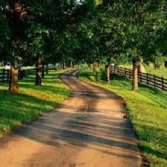 A pessimist sees the difficulty in every opportunity; an optimist sees the opportunity in every difficulty.- Sir Winston Churchill