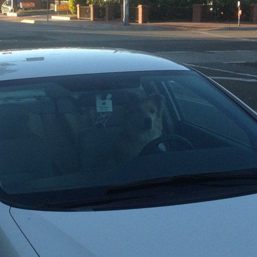 SCLightning's profile picture. “For I know the plans I have for you” declares the Lord, “plans to prosper you and not harm you, plans to give you hope and a future.”