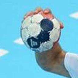 Toute l'actualité et les informations sur le Handball Français