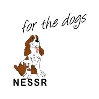 Northern English Springer Spaniel Rescue is a registered charity dedicated to rescuing all breeds of spaniels. Run by volunteers. https://t.co/aqPdhb4aLj