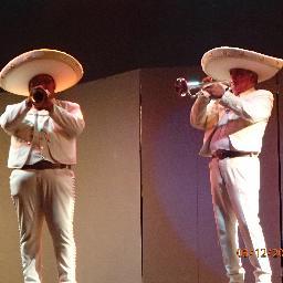 mikdundee's profile picture. 