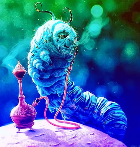 420_arguile's profile picture. 