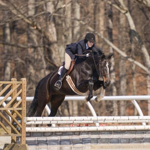 Oregon, Sweet Briar 2016, Equestrian