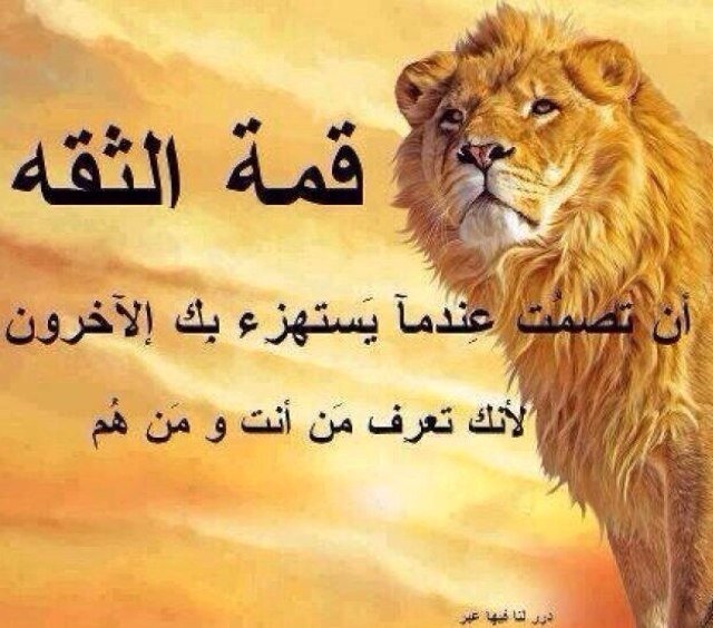 هوايتي جمع الطوابع وجمع ريش النعام احب اعطكم نبذة عني تراني اسرع واحد بالحارة