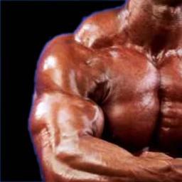 Toute l'actualité et les informations sur le Bodybuilding  Français