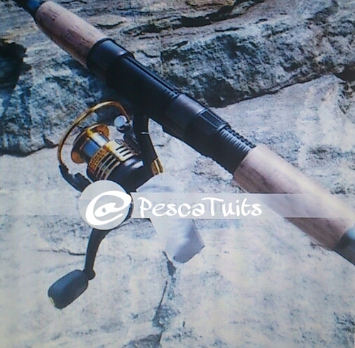 ¿Te gusta la pesca.? Si eres un aficionado a la pesca unete y siguenos.Tuits y fotos de alta calidad.Envianos tu jornada de pesca mencionandonos en twitter.