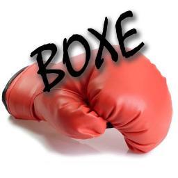 Toute l'actualité et les informations sur la Boxe en France