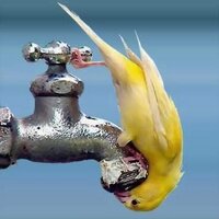 ابوسلمان من سمنصير (@abdla95) 's Twitter Profile