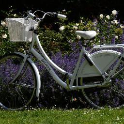 Bicycledreaming's profile picture. artist • photographer • cartographer • urban farmer • teacher • bicycle advocate