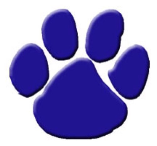 Conant High School Junior Class Council 2013-2014