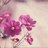 al_janh91's profile image