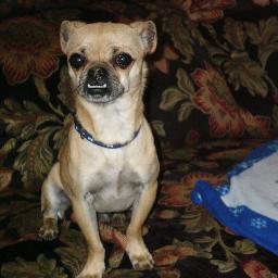 gpa_l's profile picture. Who you gonna call?