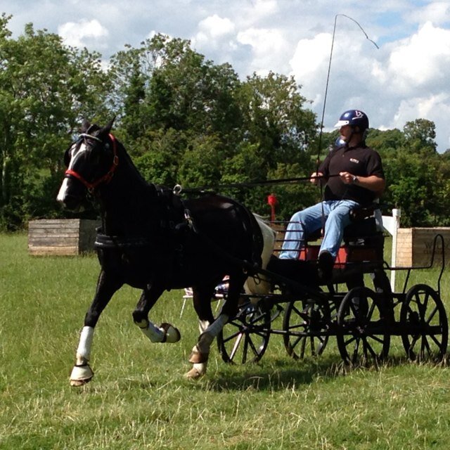 We are a group of carriage driving enthusiasts, competing regularly in Horse Driving Trails affiliated to the BHDTA. New members always welcome